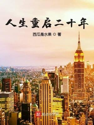 重启人生回到2008
